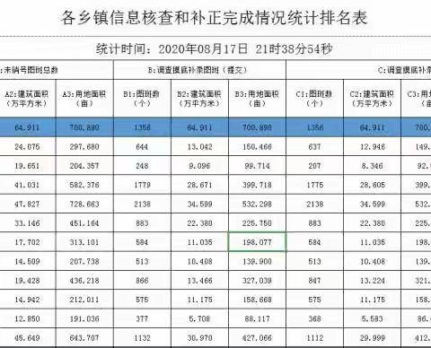 那大镇率先100%完成“两违”图斑核查和补正工作