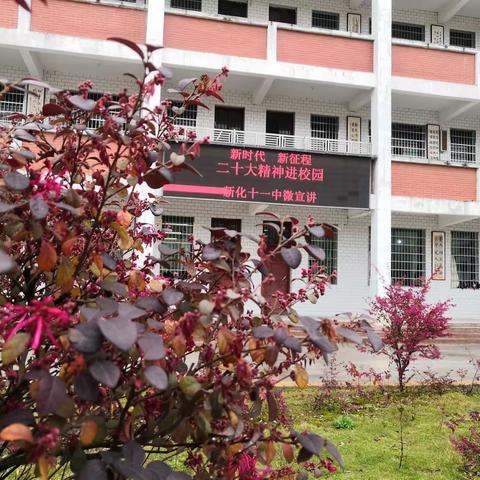新时代新征程——二十大精神进校园