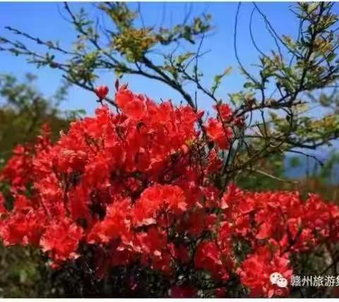 10月去哪里“我和草原高山有个约定“与草原同乐与月亮共眠”星空、草地、音乐大Pk