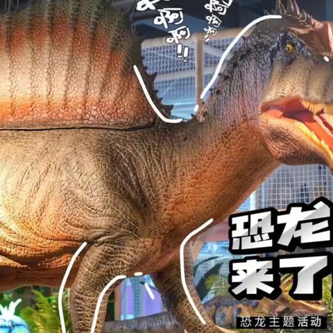 《梦回侏罗纪🦕恐龙等你来~清三》