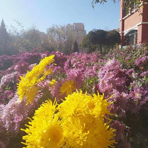 我爱科学--种植养殖活动社团