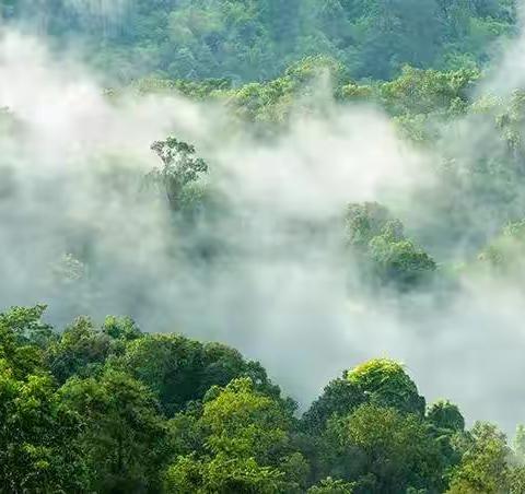 红色平川•一日一联” 2022年9月28日出句  山林静默莺无语【平川黄天明】