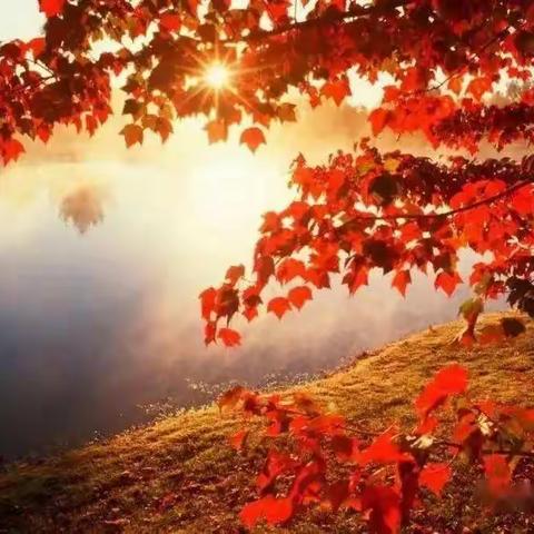 “红色平川•每日一联”2022年10月24日出句： 殷勤秋意谁辜负【平川郁映辉】