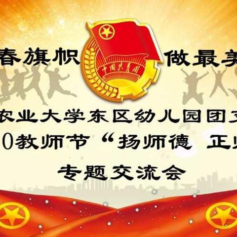 中国农业大学东校区幼儿园团支部9.10教师节“扬师德，正师风”专题交流会