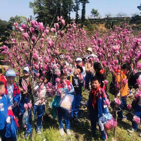 康厝中心小学四、五、六年段春季研学旅行活动