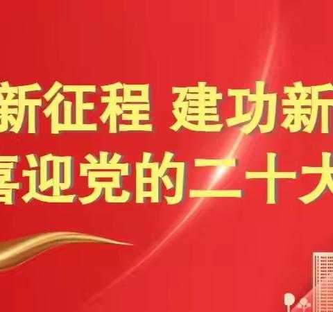 户外特色主题党日活动