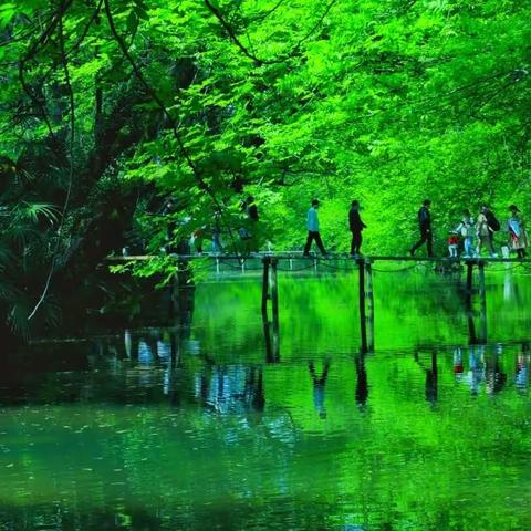 绿野仙境--西溪南