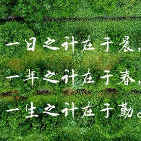 【行美少年·活动】规范晨起时光，争做行美少年——滨海县实验小学新建南路校区举行规范晨起活动