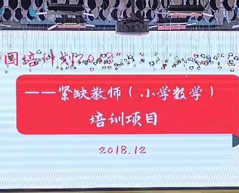 国培计划（2018）紧缺学科教师（小学数学）培训项目