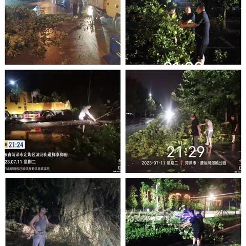 强降雨折倒树木  定陶园林连夜行动排险情