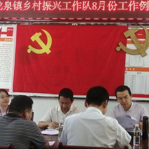 龙泉镇乡村振兴工作队8月份例会