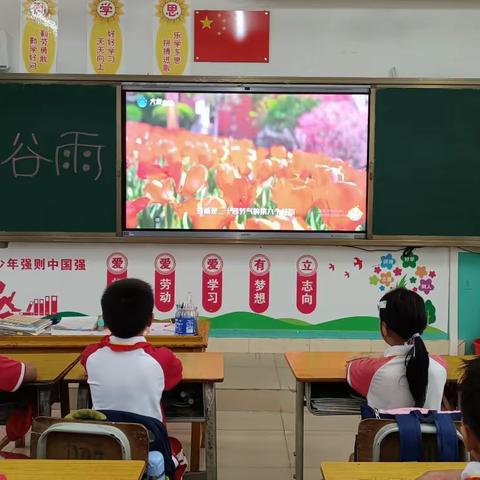 【传统节气】谷雨