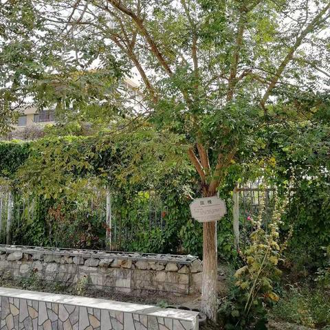 三建中学跟岗学习（待整理）