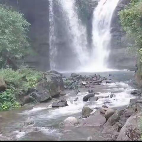 传统佳酿   深山洞藏