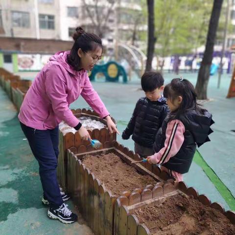 四月，在春天里深耕厚植——记中四班种植活动