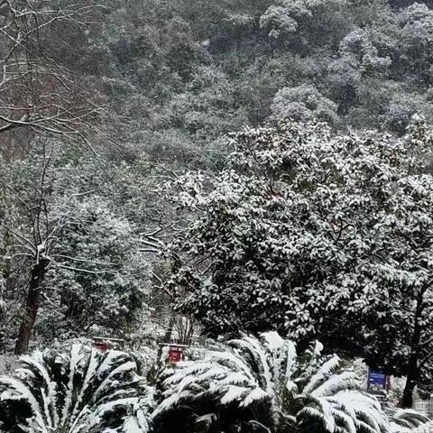 既锻炼    又赏雪