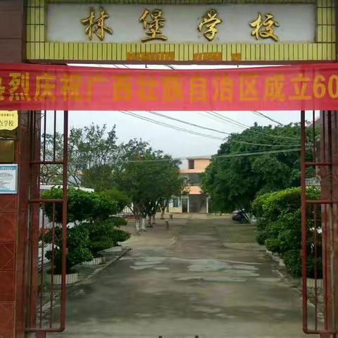 义教均衡勤耕耘，旧貌新颜待花开——腾飞中的新桥镇林堡教学点