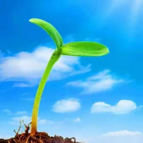 成为自信的教师，做最适合的教育