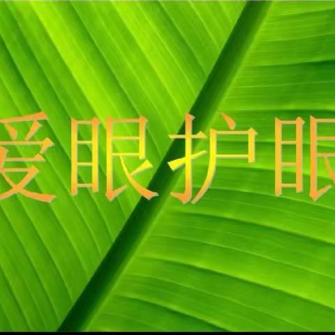 爱眼护眼，点亮“睛”彩“瞳”年——北关小学近视防控宣传教育活动