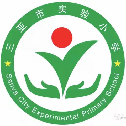 停课不停学，成长不停歇——三亚市实验小学线上教学实录