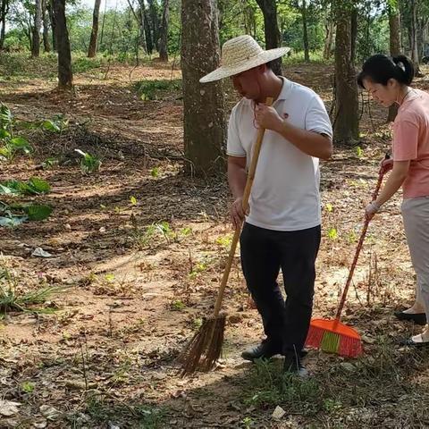 “百年胶园党旗飘”党日活动