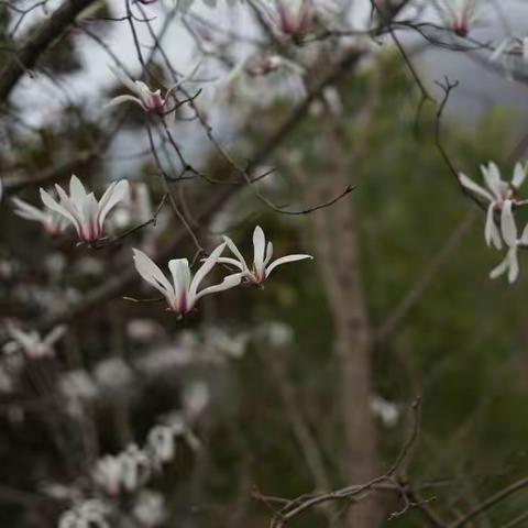 时光不老      我们不散