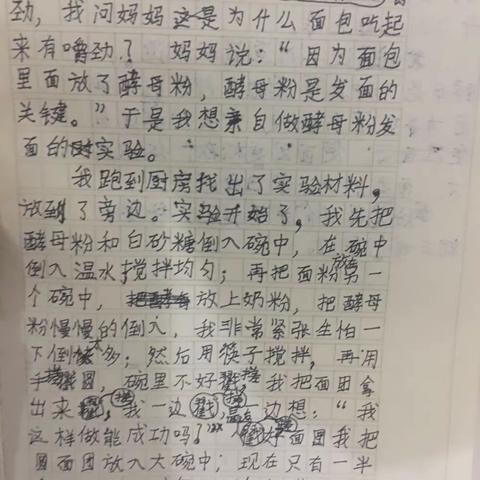 语文作业以此为准