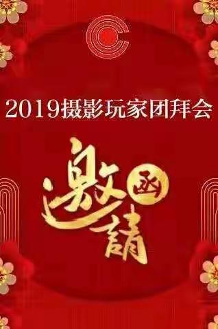 【摄影玩家】2019年团拜会