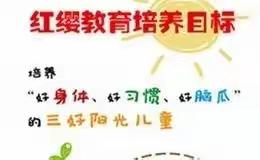 【百家争鸣，赫然独立】灵武市童乐幼儿园特色课程展示之《红缨数学》