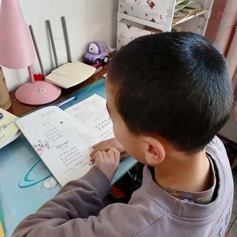 清苑区白团乡    白城四五小学三年级一班        刘嘉泽
