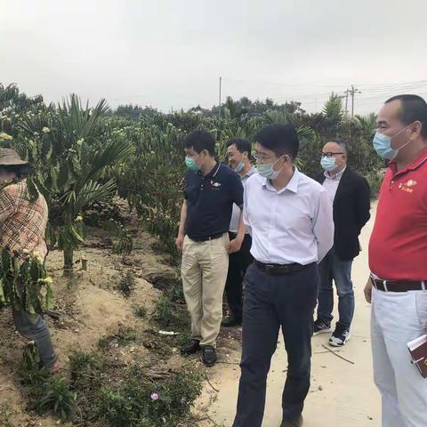 张晓军到大丰咖啡产业集团调研