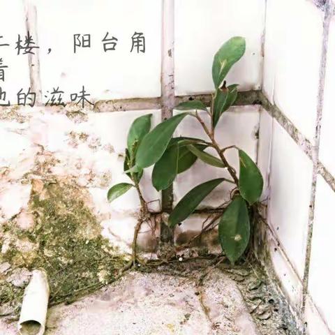 第16期林冬青老师学员作业本