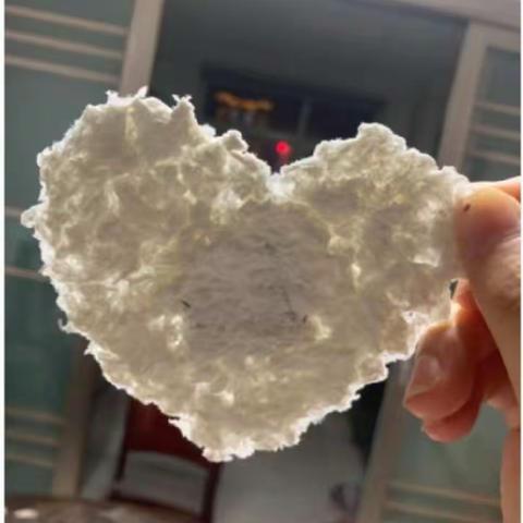 神奇的造纸术，我能行！——邢台市晨光小学二年级科学实践活动
