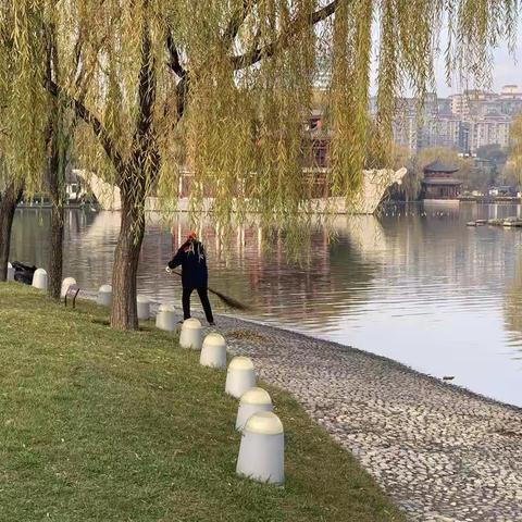 【曲江文化集团】大唐芙蓉园落实常态化管理要求，全面细化景区环境卫生