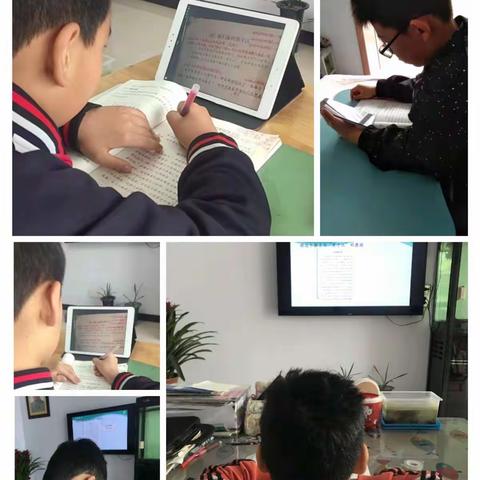 携手共“课”时艰，线上共促成长——大北街小学四二班线上教学纪实