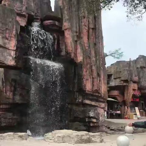 亲近大自然与动物们