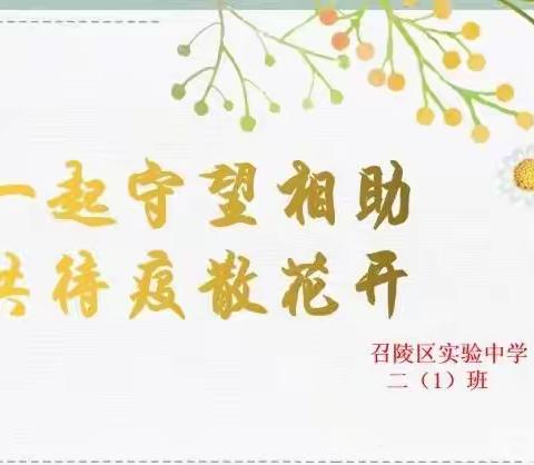 疫情难阻春风至，线上教学助‘花’开——记召陵区实验中学二一班线上教学工作