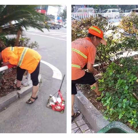 致敬-烈日下的环境守护者