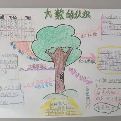 让思维产生碰撞，迸发出创造的火花——丰润镇中小学部四年级数学与综合实践整合作业成果展示