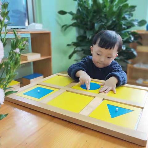 柠檬℃的美篇