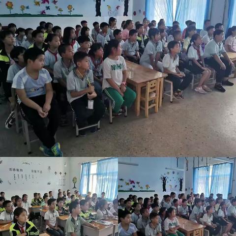 生命至上，安全伴“童”行---桃树坪完小