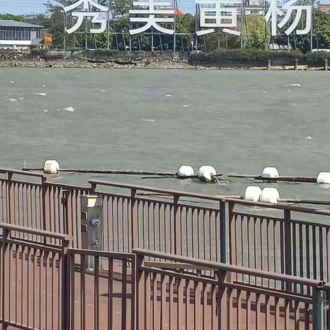 黄楊河湿地公园