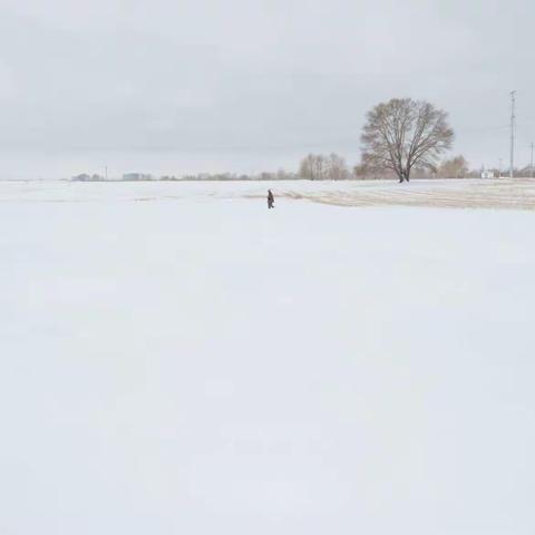 雪后