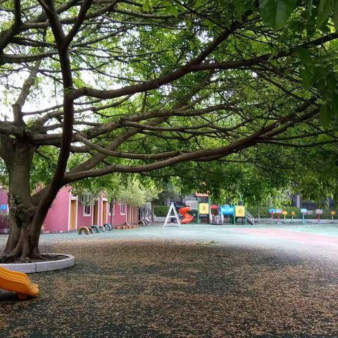 “宅”家线上学，陪伴不打烊 ――丰都县第一小学校幼儿园宅家汇分享（大班组）