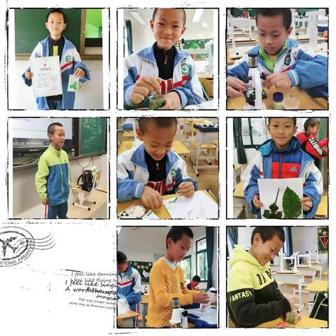 致我的小可爱——八局小学的小小生物家们