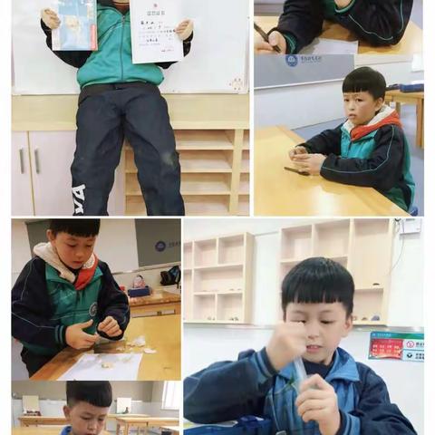 致我的小可爱——青雅丽发的小小生物家们