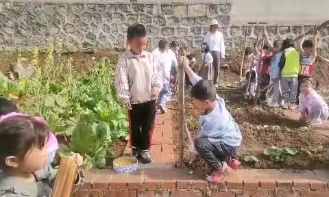 幼小衔接宣传月—发现孩子的“哇塞”时刻