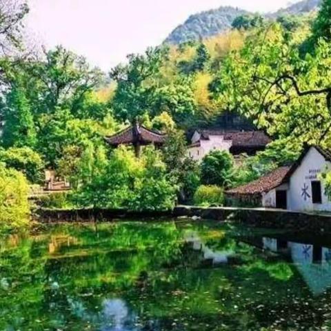 待到重阳日/还来就菊花‖高兴陪您学古文第123期