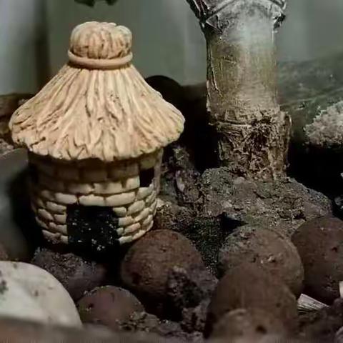 回  眸