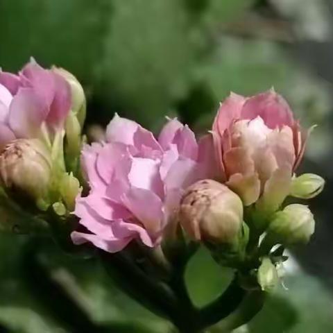 眼前（之一）